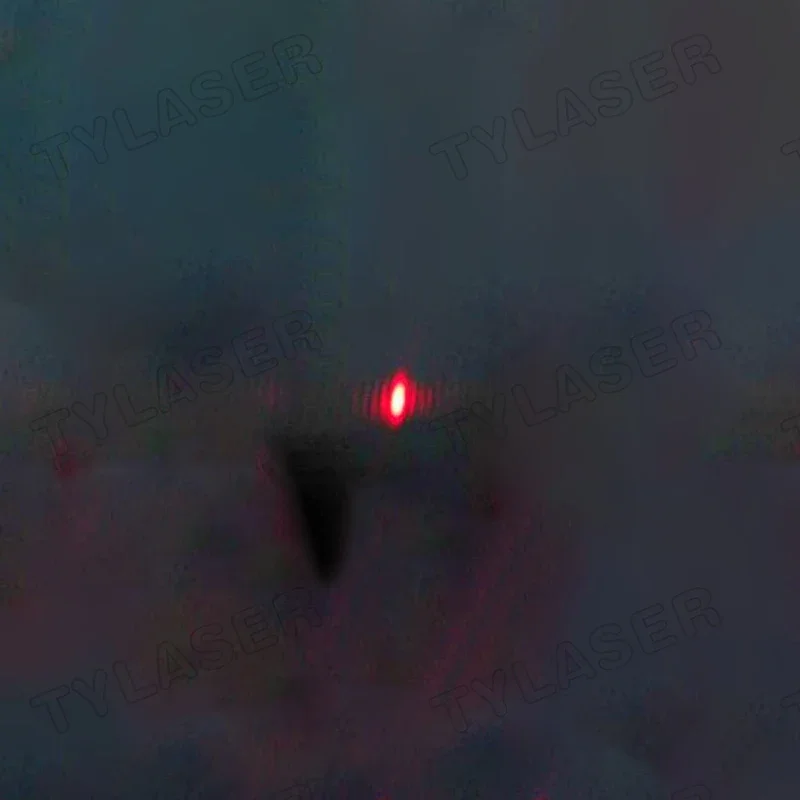 Внешний лазерный модуль TTL 8  – обзор и цена Industrial Grade Laser Pointer